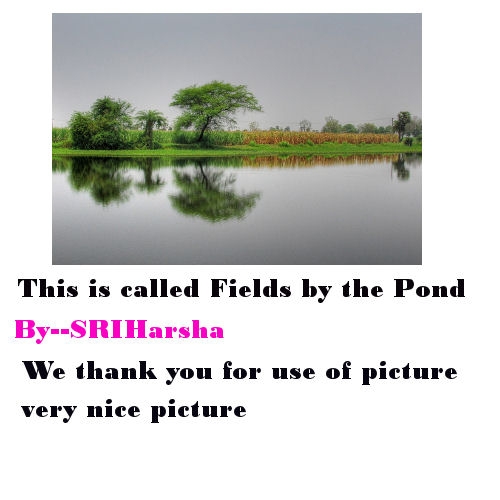 Creation of Mill On The Pond: Step 3